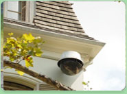 Blackwall electrical installations